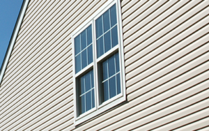 Double Hung Windows